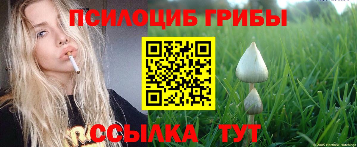 Псилоцибиновые грибы GOLDEN TEACHER  Вход с VPN  Удомля 